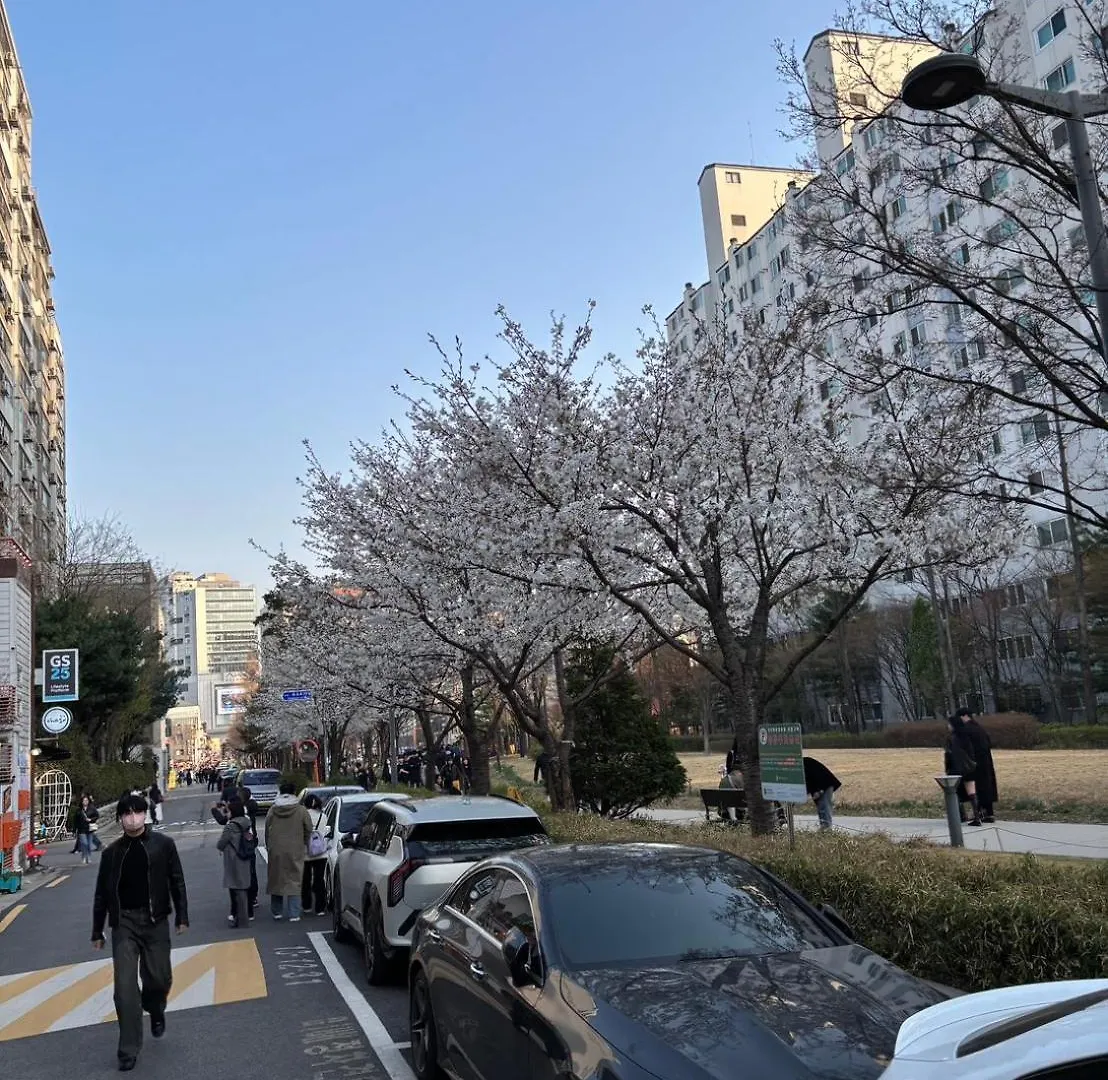 Urban Cozy Stay -Hongdae, Seoul Apartment