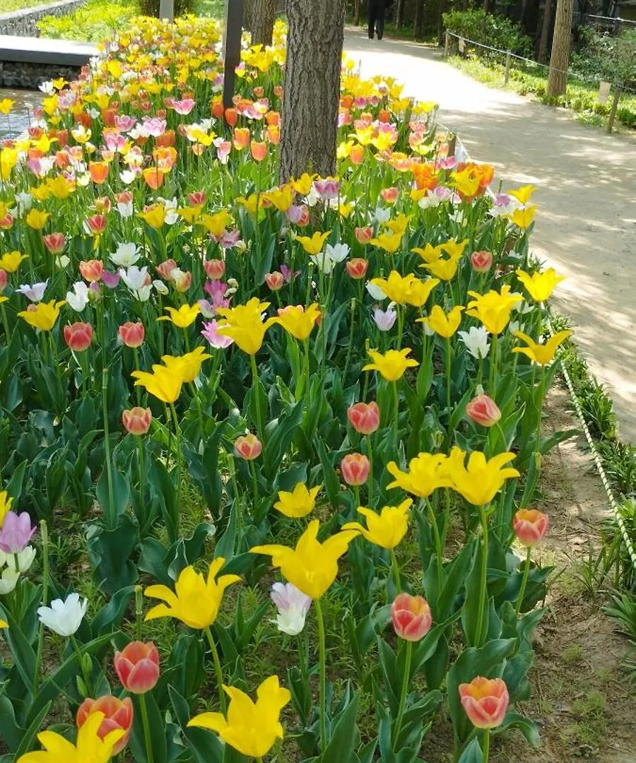 Urban Cozy Stay -Hongdae, Seoul